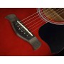 Acoustic Guitar Richwood RD-12 Red Sunburst