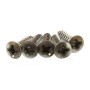 Allparts Pickguard Screws Aged Nickel 20pcs