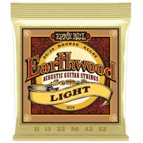 Ernie Ball 2006 Earthwood 80/20 Light