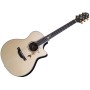 Acoustic Guitar Crafter Twin Birds-Series