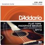 D'Addario EFT13