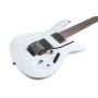 Ibanez PWM20 Paul Waggoner signatur