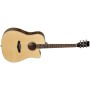 Acoustic Guitar Tanglewood TPE DC DLX