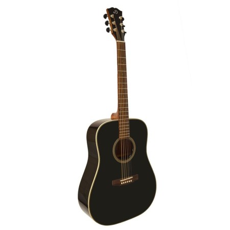 Acoustic Guitar Dowina D555 BKW