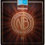 D'Addario NB1253 – Prenics Sweden