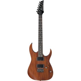 Electric Guitar Ibanez RG421-MOL