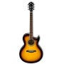 Acoustic Guitar Ibanez JSA5-VB