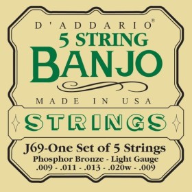 D'Addario EJ69 Light 5-string Banjo – Prenics Sverige