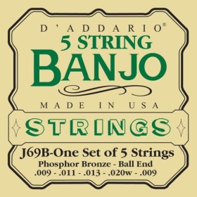 D'Addario EJ69B Light 5-string Banjo Ball End – Prenics Sverige
