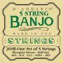 D'Addario EJ69B Light 5-string Banjo Ball End