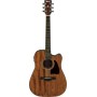 Acoustic Guitar Ibanez AW54CE-OPN