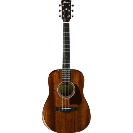 Acoustic Guitar Ibanez AW54JR-OPN