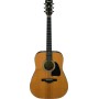 Acoustic Guitar Ibanez AVD60-NT