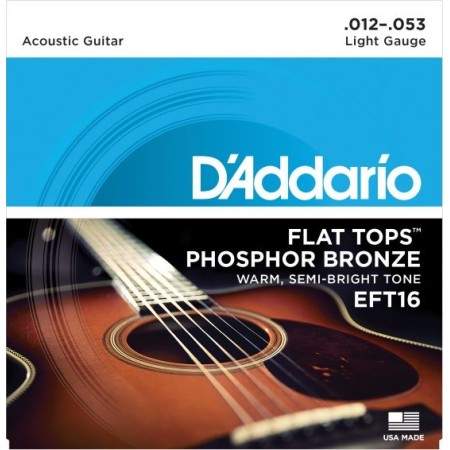 D'Addario EFT16