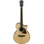 Acoustic Guitar Ibanez AE205JR-OPN