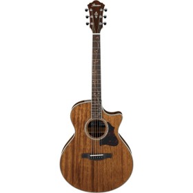 Acoustic Guitar Ibanez AE245-NT