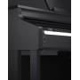 Casio Celviano AP-710BK Digital Piano