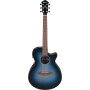 Acoustic Guitar Ibanez AEG50-IBH