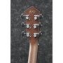 Acoustic Guitar Ibanez AEG50-DHH