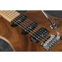 Electric Guitar Ibanez TQM1-NT