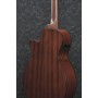 Classical Guitar Ibanez AEG50N-NT