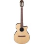 Klassisk gitarr Ibanez AEG50N-NT