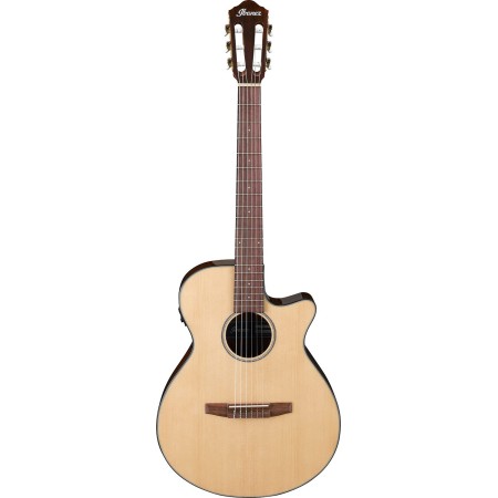 Klassisk gitarr Ibanez AEG50N-NT
