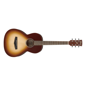 Acoustic Guitar Ibanez PN19-ONB
