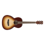 Acoustic Guitar Ibanez PN19-ONB