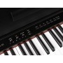 Medeli DP650K / BK Digital Piano