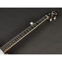 Richwood RMB-605 Master Series Folk Banjo