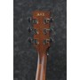 Acoustic Guitar Ibanez PF10CE-OPN