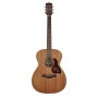 Acoustic Guitar Richwood A-50 Master Series 000