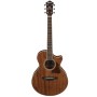 Acoustic Guitar Ibanez AE245JR-OPN